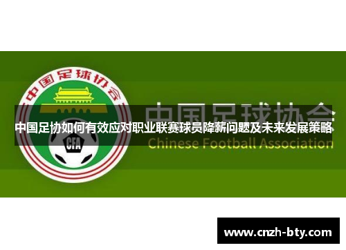中国足协如何有效应对职业联赛球员降薪问题及未来发展策略