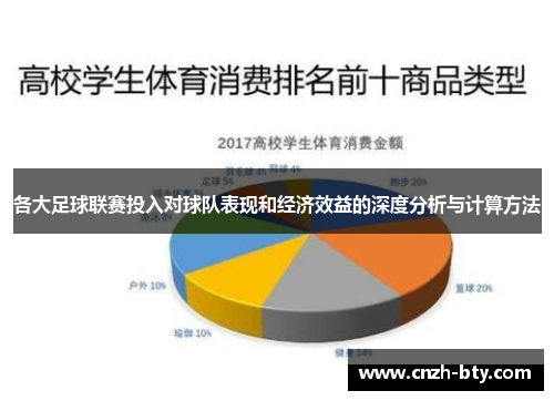各大足球联赛投入对球队表现和经济效益的深度分析与计算方法 各大足球联赛投入对球队表现和经济效益的深度分析与计算方法