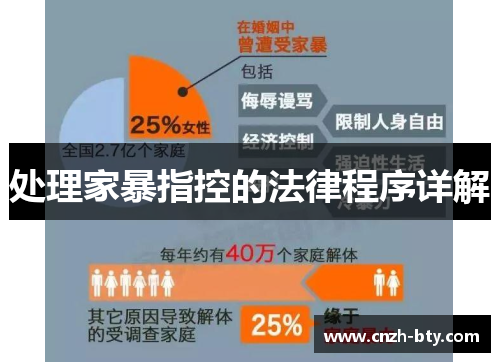 处理家暴指控的法律程序详解