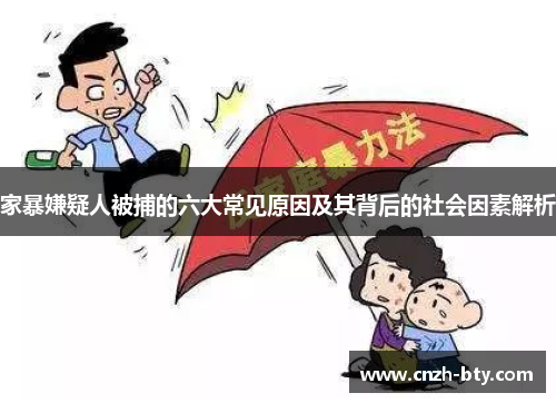 家暴嫌疑人被捕的六大常见原因及其背后的社会因素解析 家暴嫌疑人被捕的六大常见原因及其背后的社会因素解析