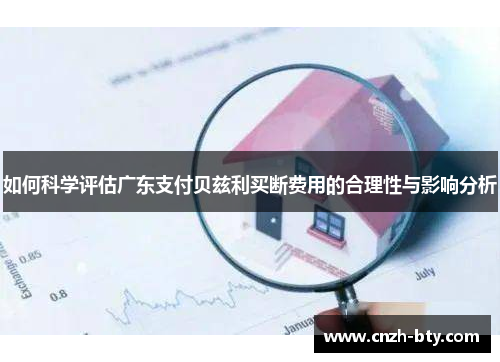 如何科学评估广东支付贝兹利买断费用的合理性与影响分析 如何科学评估广东支付贝兹利买断费用的合理性与影响分析