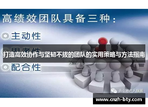 打造高效协作与坚韧不拔的团队的实用策略与方法指南