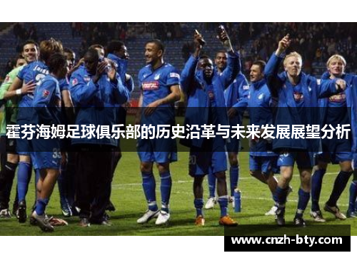 霍芬海姆足球俱乐部的历史沿革与未来发展展望分析