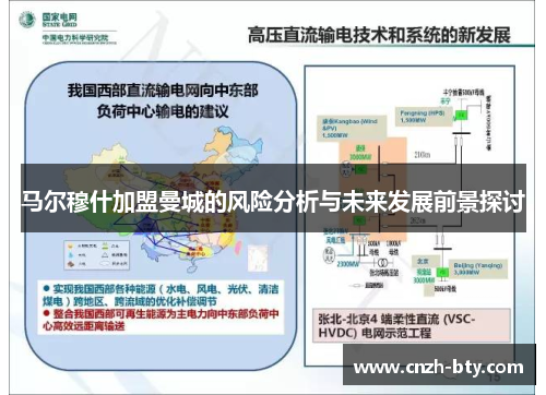马尔穆什加盟曼城的风险分析与未来发展前景探讨