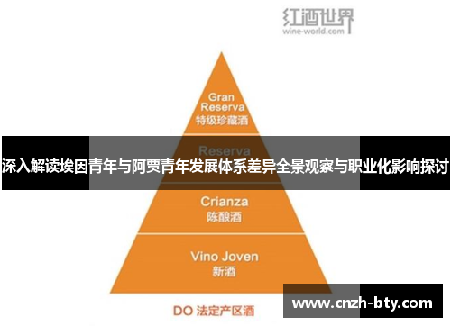 深入解读埃因青年与阿贾青年发展体系差异全景观察与职业化影响探讨